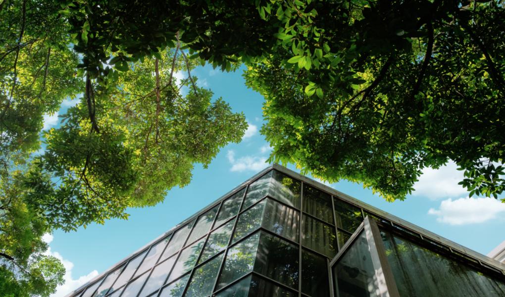 Environmentally Conscious Headquarters Office